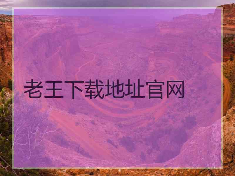 老王下载地址官网