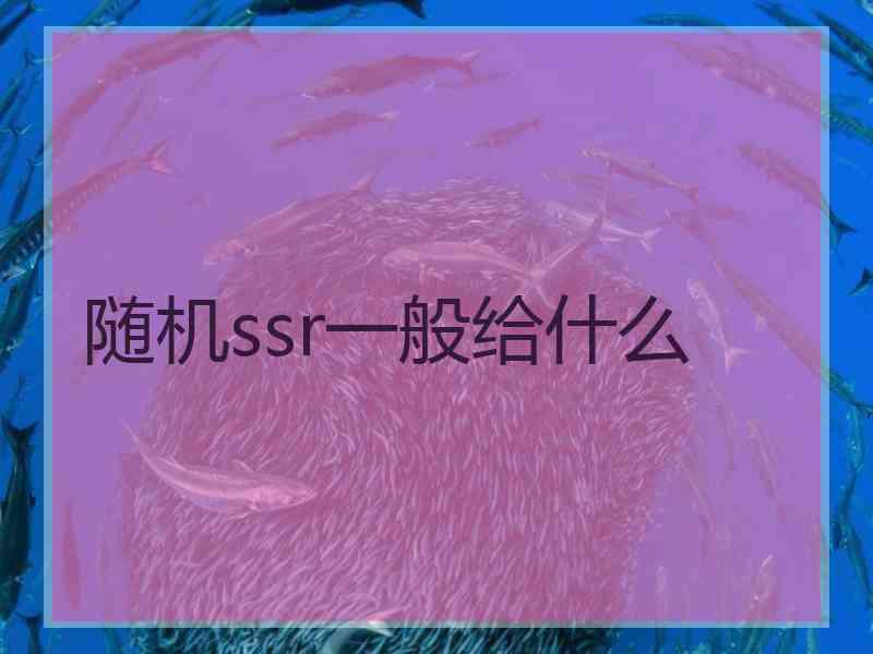 随机ssr一般给什么