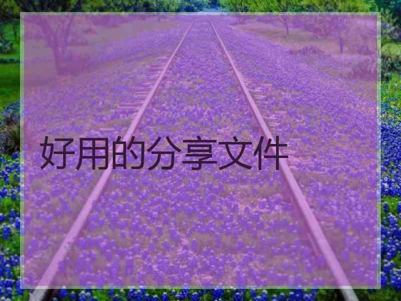 好用的分享文件
