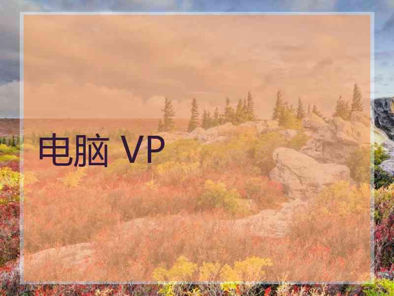 电脑 VP