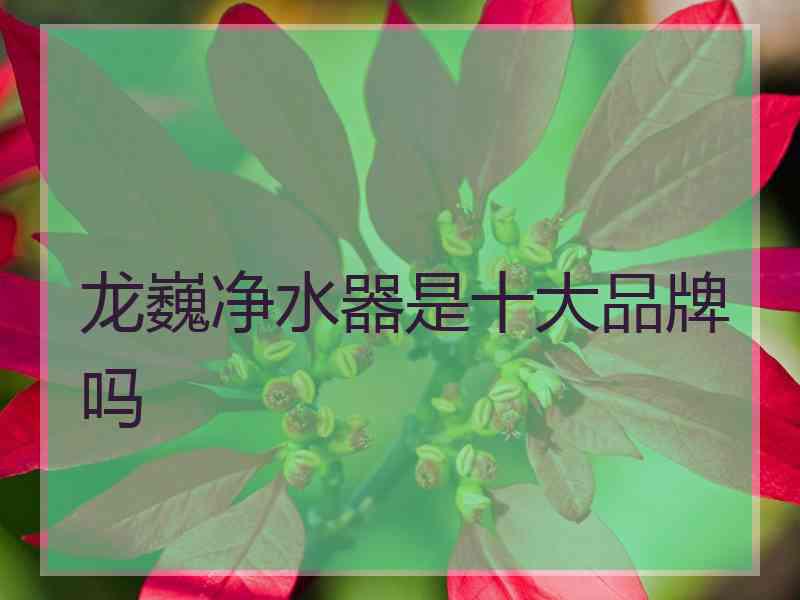 龙巍净水器是十大品牌吗