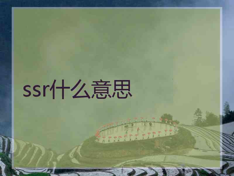 ssr什么意思