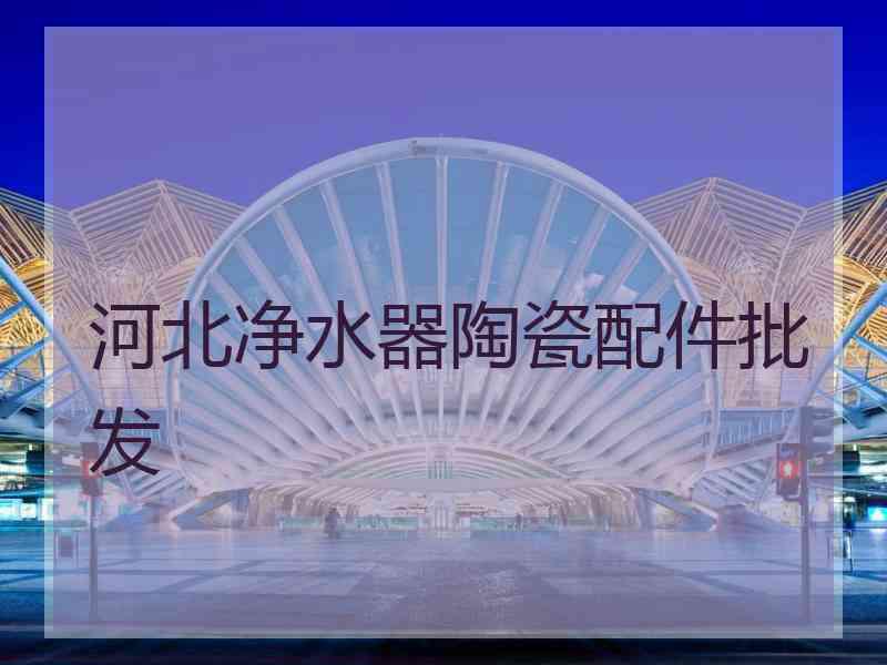 河北净水器陶瓷配件批发