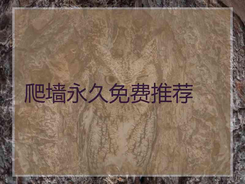 爬墙永久免费推荐