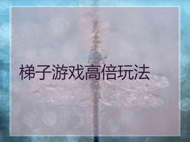 梯子游戏高倍玩法