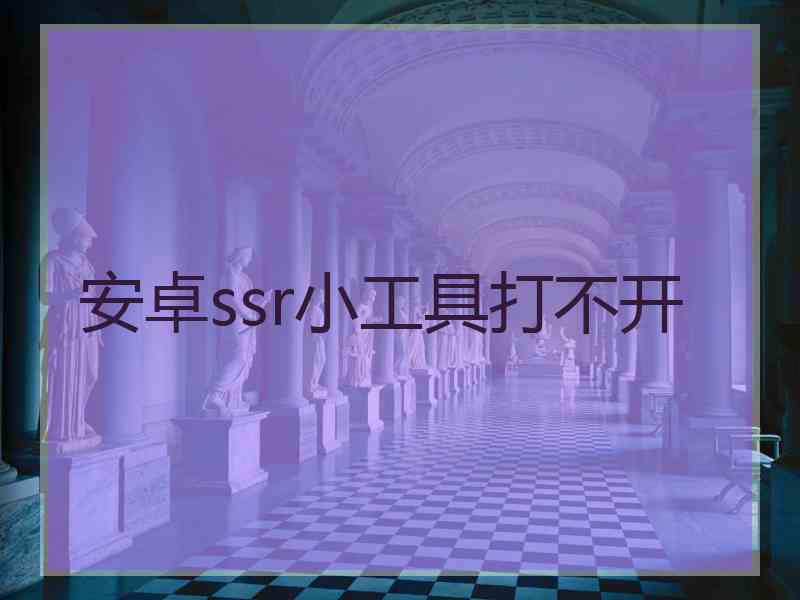 安卓ssr小工具打不开