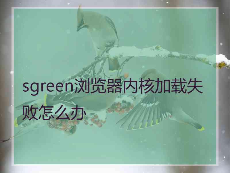 sgreen浏览器内核加载失败怎么办