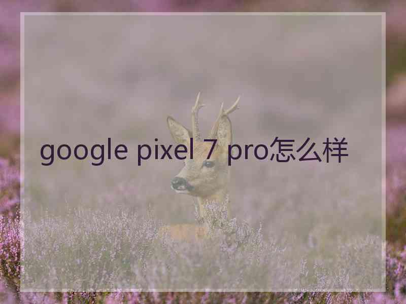 google pixel 7 pro怎么样