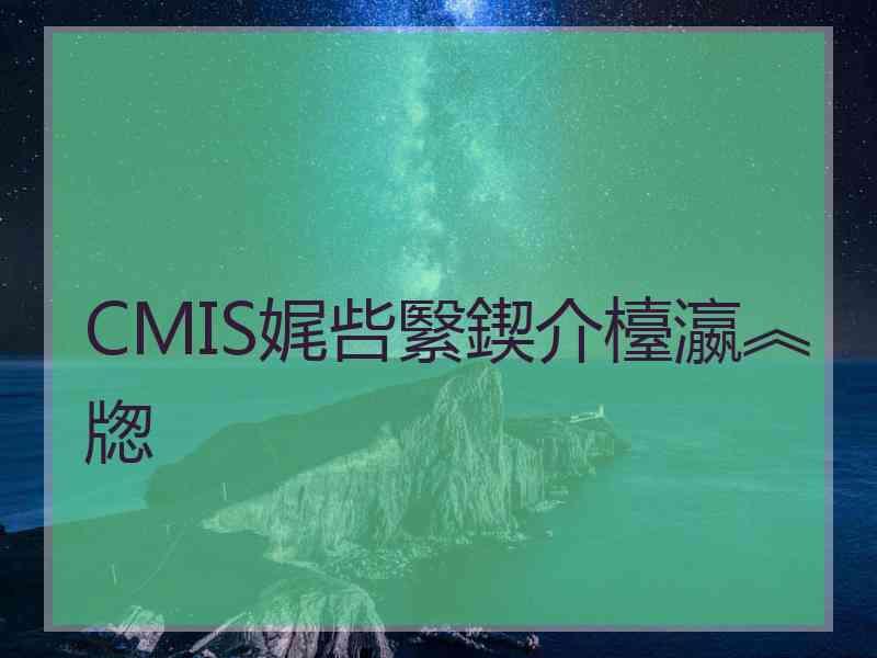 CMIS娓呰繄鍥介檯瀛︽牎
