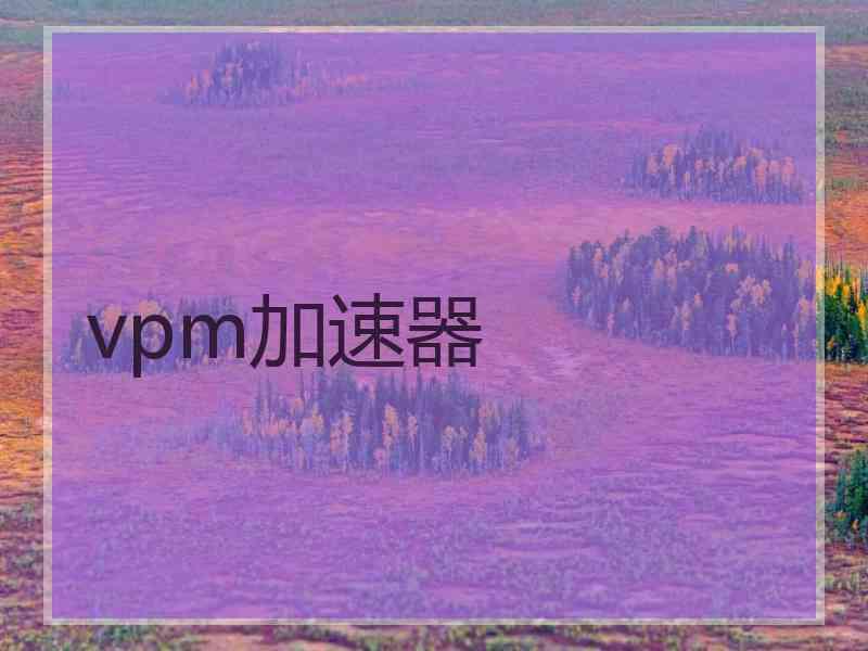 vpm加速器