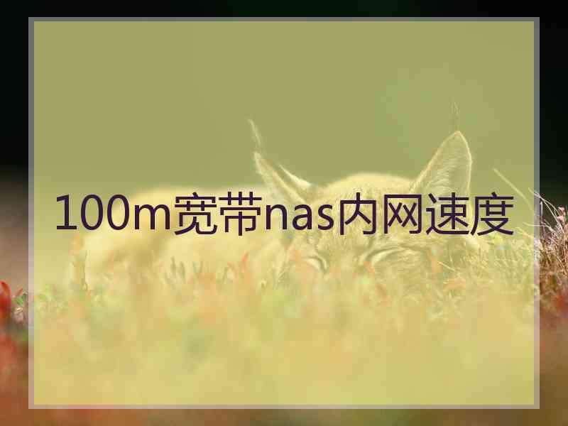 100m宽带nas内网速度