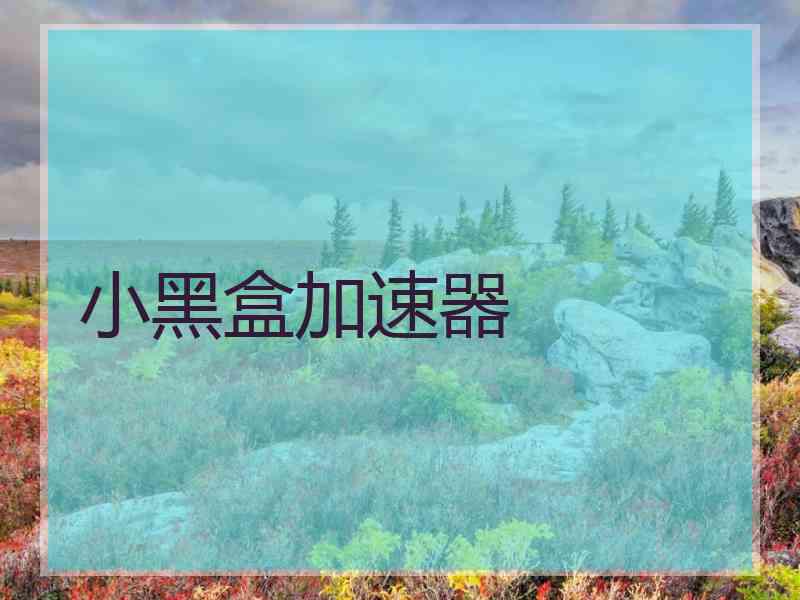 小黑盒加速器