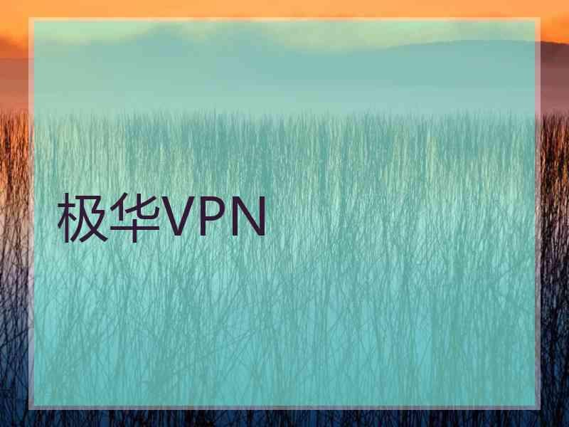 极华VPN
