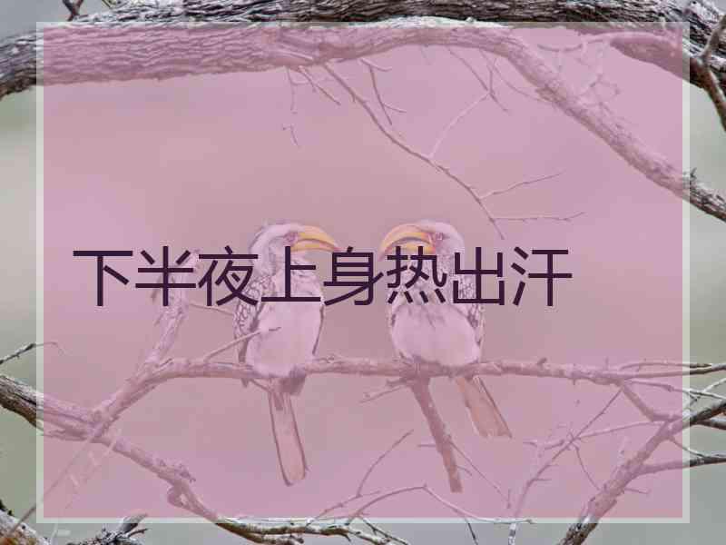 下半夜上身热出汗