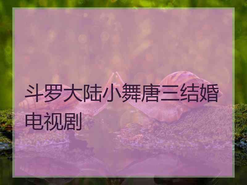 斗罗大陆小舞唐三结婚电视剧