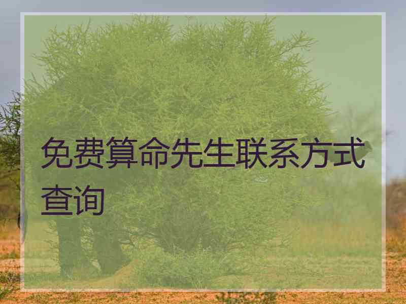 免费算命先生联系方式查询