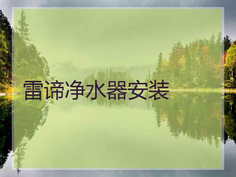 雷谛净水器安装