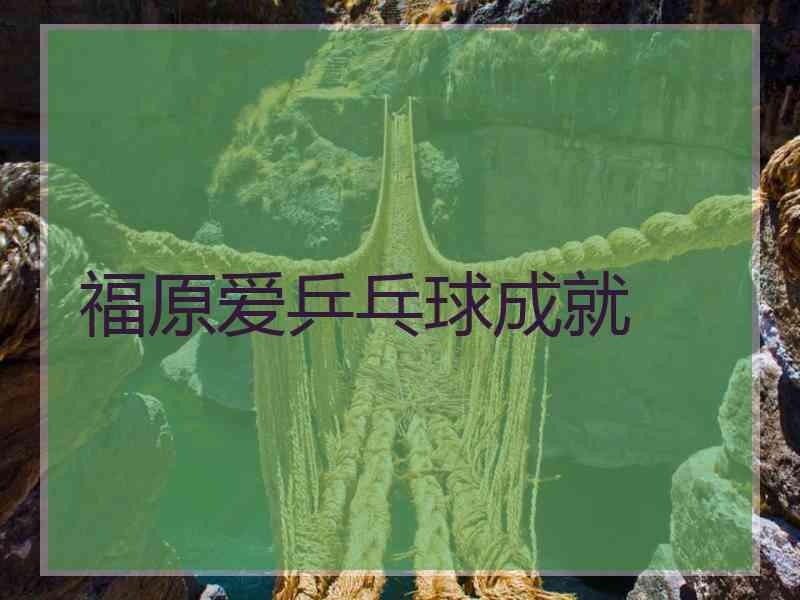 福原爱乒乓球成就