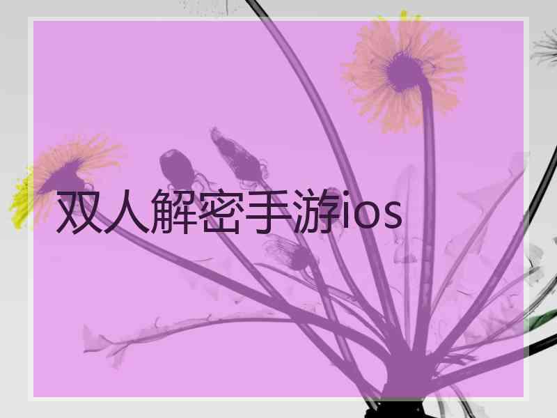 双人解密手游ios