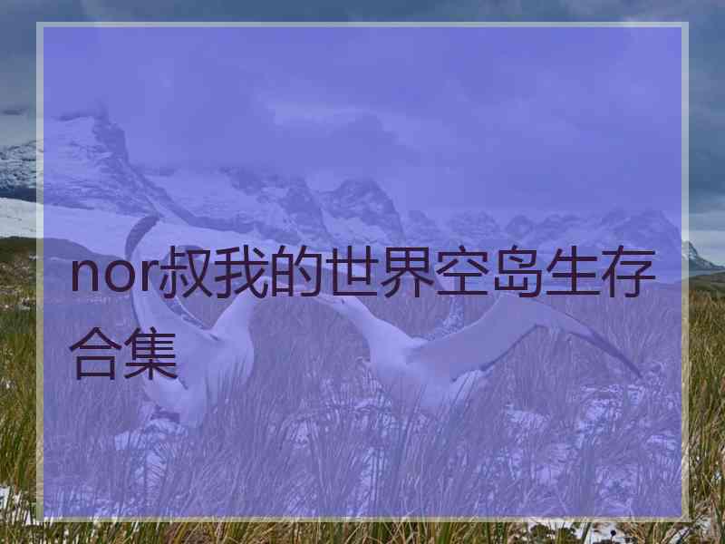 nor叔我的世界空岛生存合集