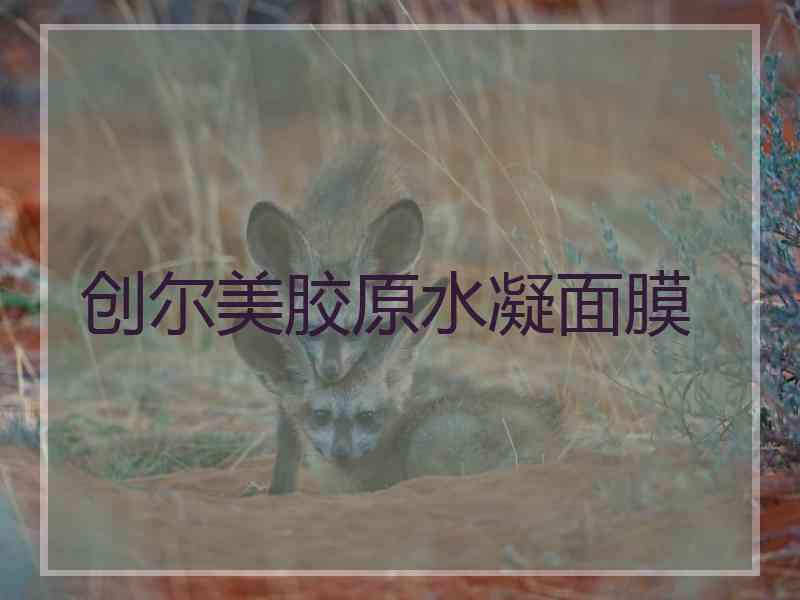 创尔美胶原水凝面膜