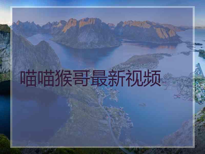 喵喵猴哥最新视频