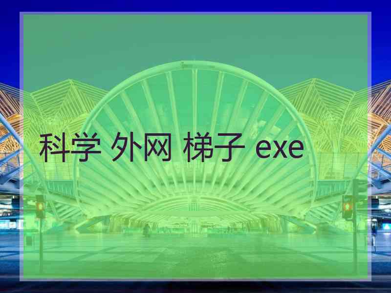 科学 外网 梯子 exe