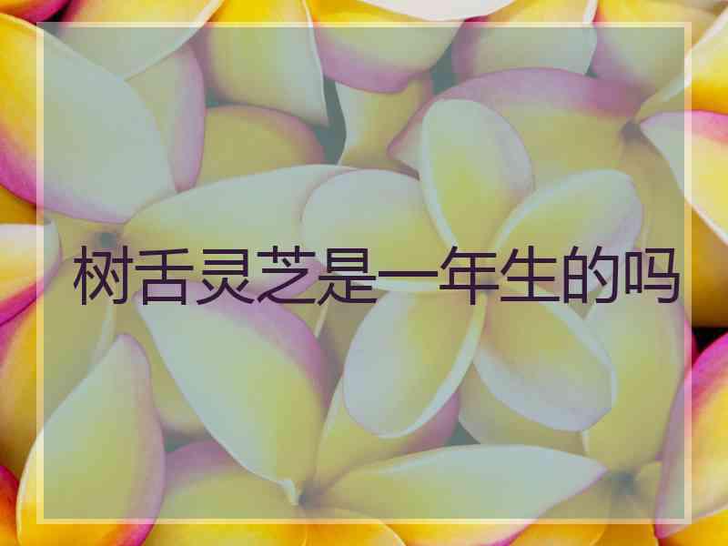 树舌灵芝是一年生的吗