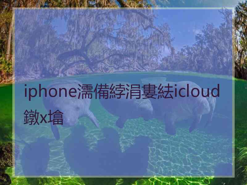 iphone濡備綍涓婁紶icloud鐓х墖