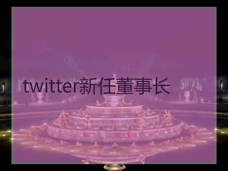twitter新任董事长