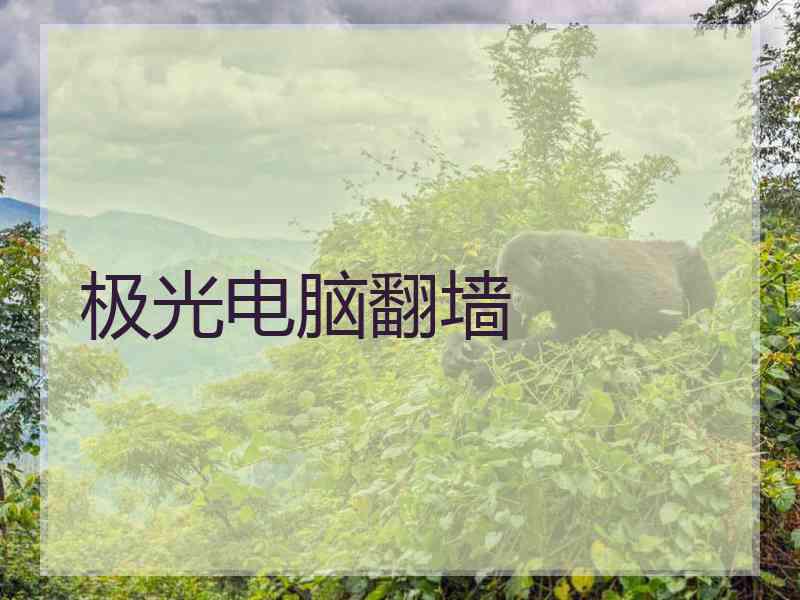 极光电脑翻墙
