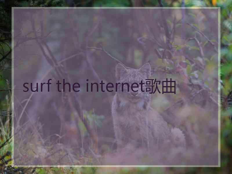 surf the internet歌曲