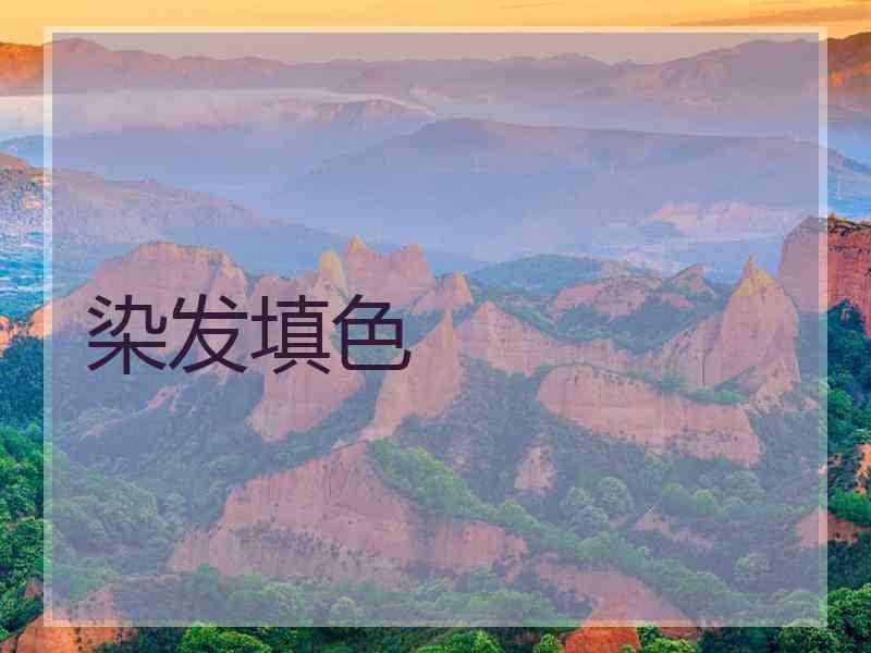 染发填色