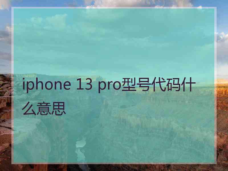 iphone 13 pro型号代码什么意思
