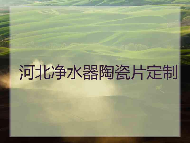 河北净水器陶瓷片定制