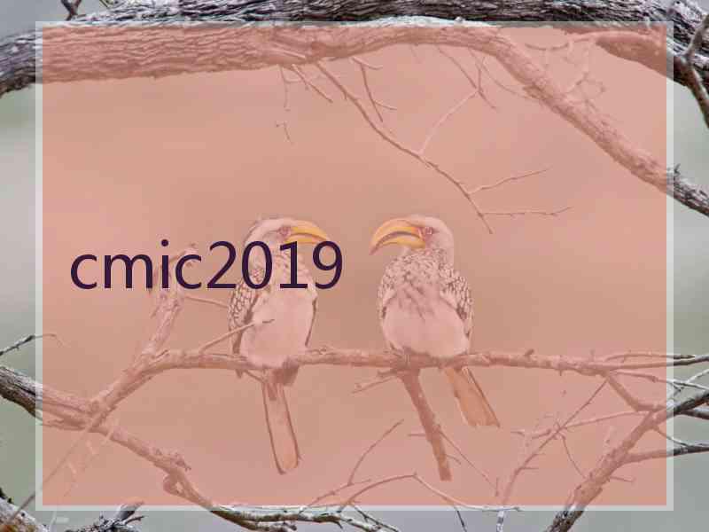 cmic2019