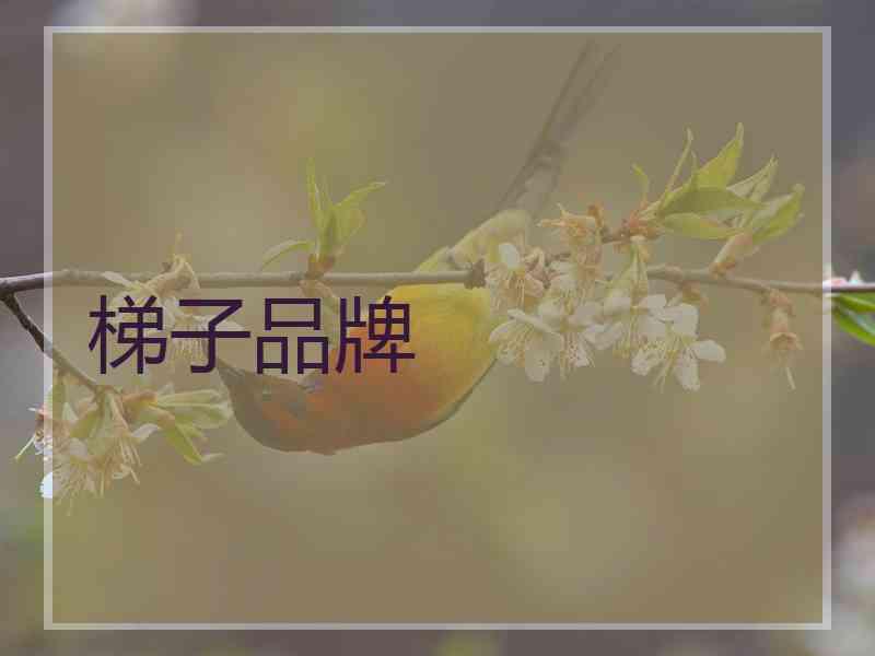 梯子品牌