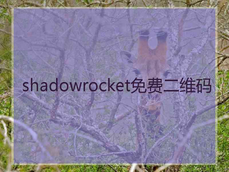 shadowrocket免费二维码