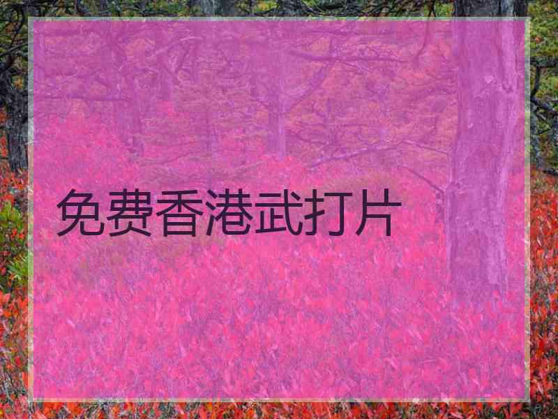 免费香港武打片