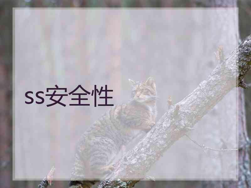 ss安全性