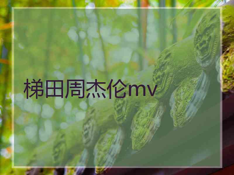 梯田周杰伦mv