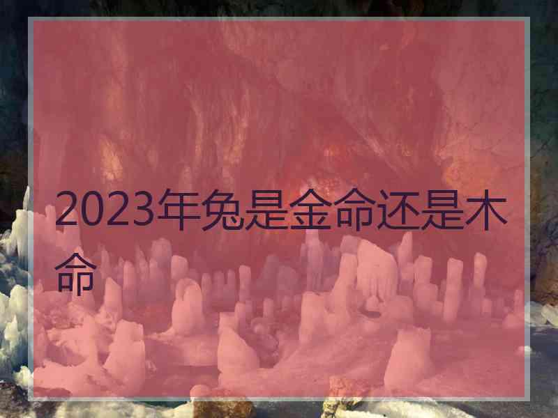 2023年兔是金命还是木命