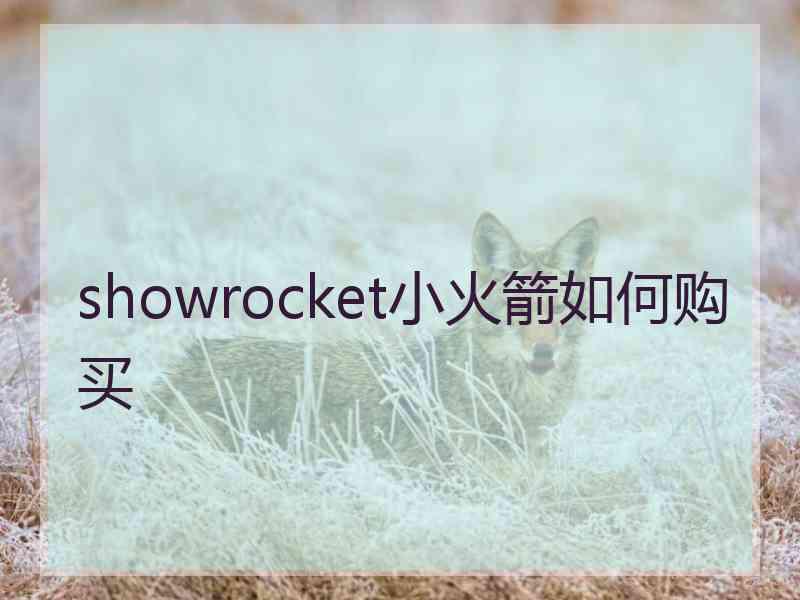showrocket小火箭如何购买