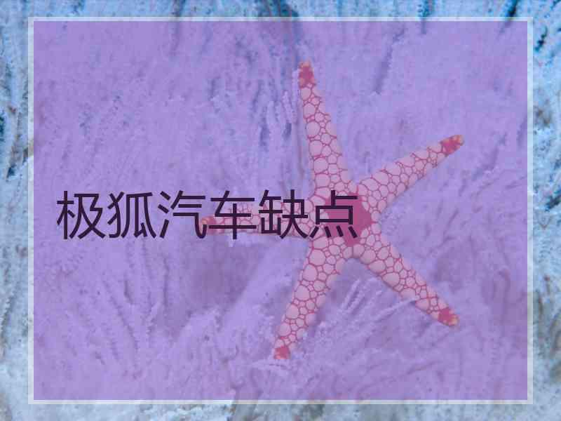 极狐汽车缺点
