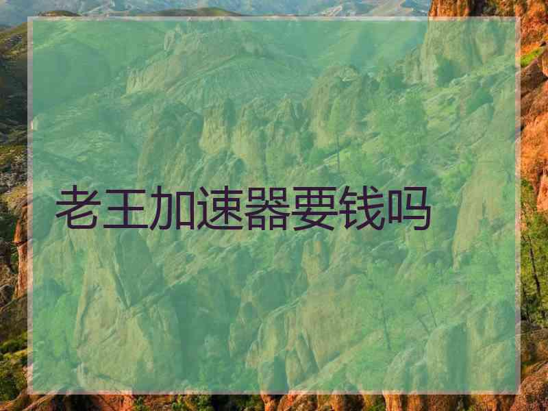 老王加速器要钱吗