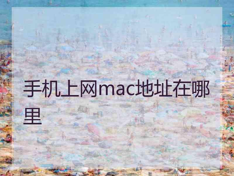 手机上网mac地址在哪里