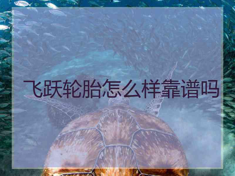 飞跃轮胎怎么样靠谱吗