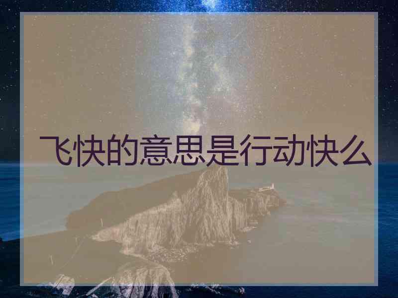 飞快的意思是行动快么