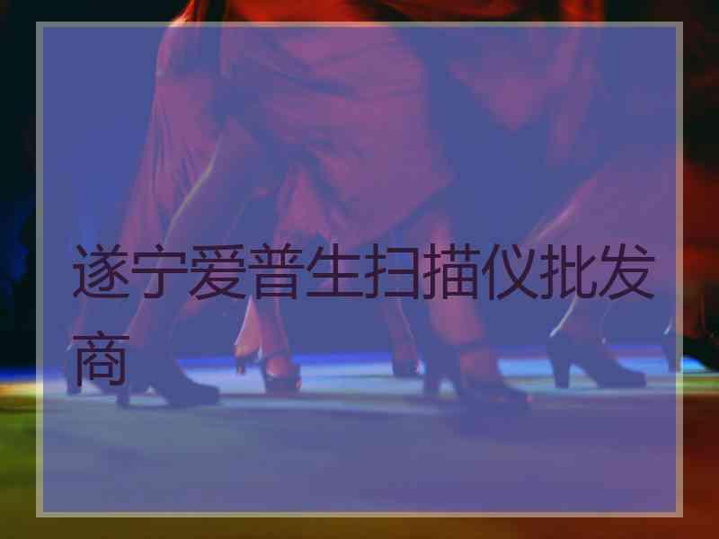 遂宁爱普生扫描仪批发商