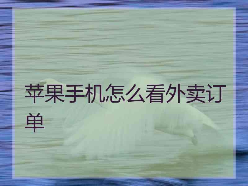苹果手机怎么看外卖订单